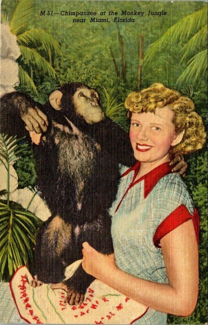 Vintage 1940s Chimpanzee Monkey Jungle Miami Florida Linen Postcard