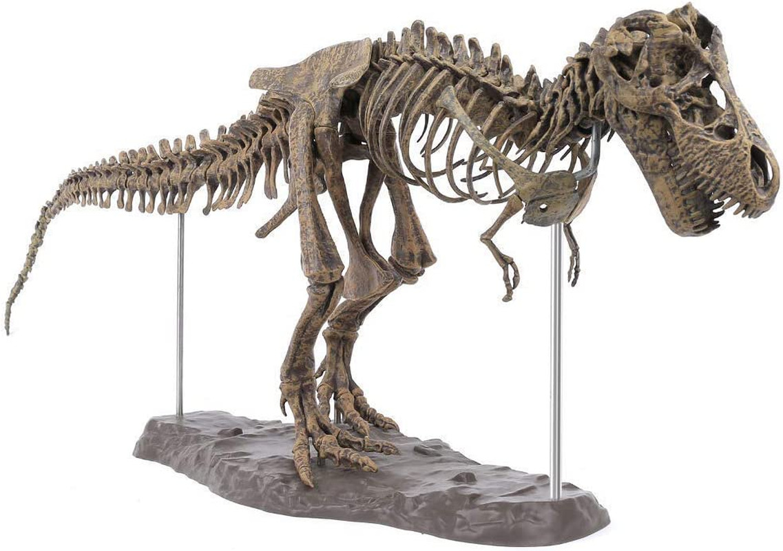 3D T-Rex Dinosaur Skeleton Model Puzzles Simulation Educational Toy Pre-School T