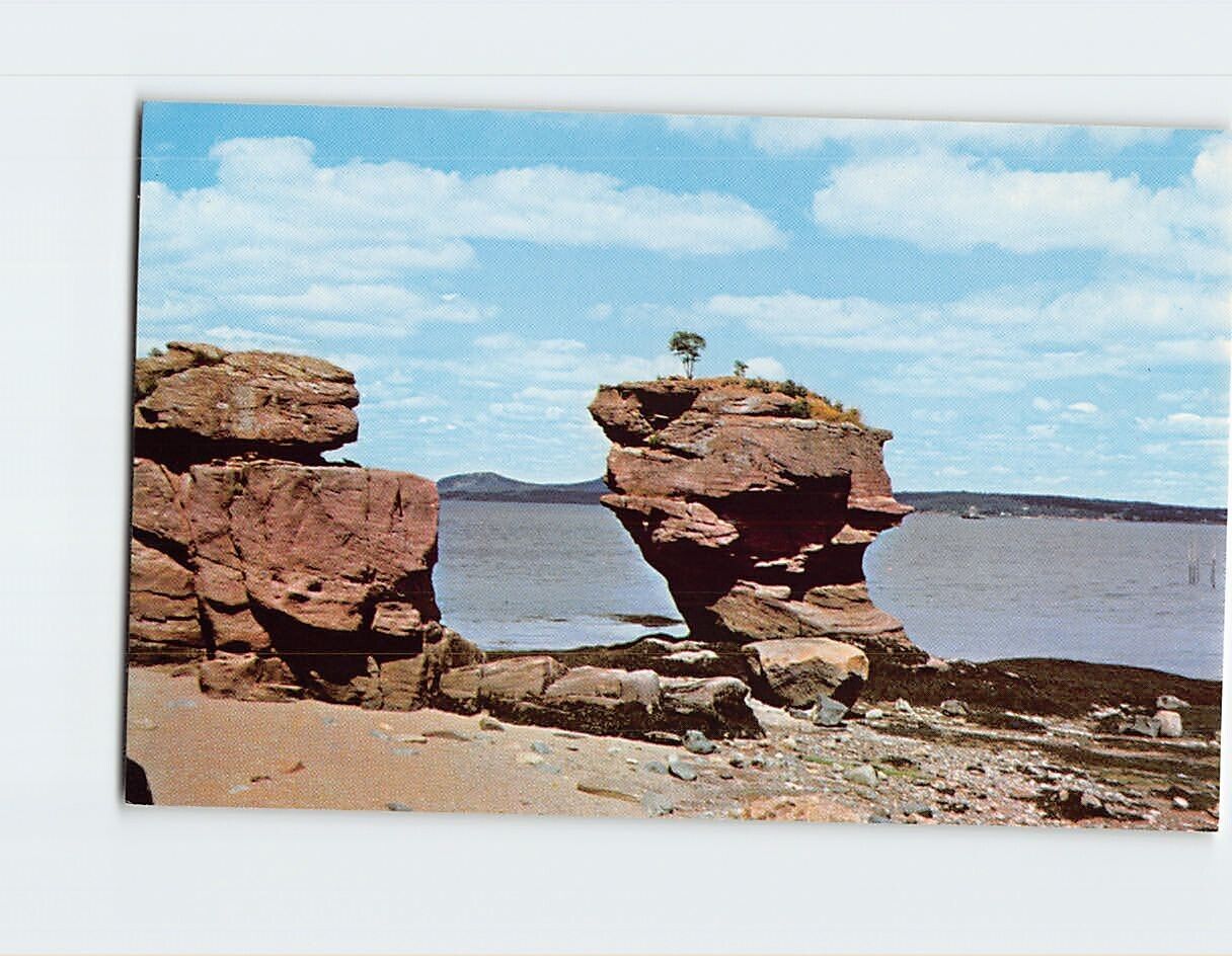 Postcard Pulpit Rock West Shore of Passamaquoddy Bay North Perry Maine USA