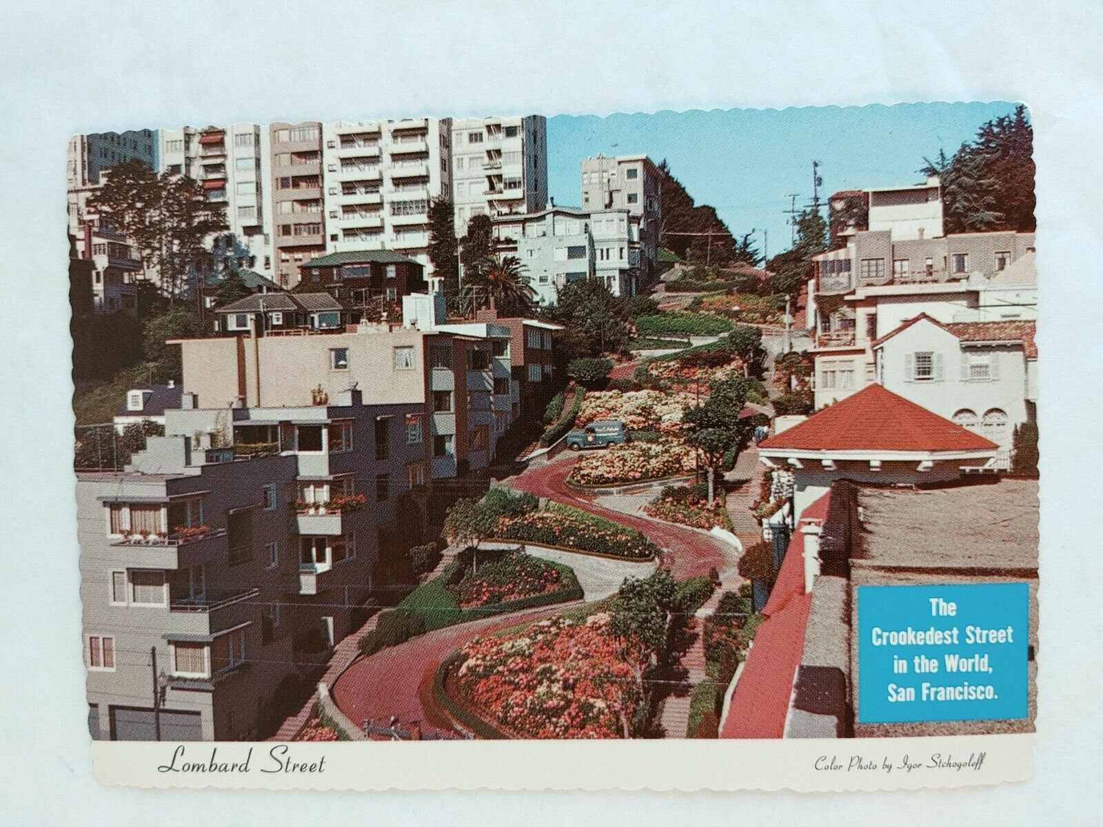 Vintage 1950s Postcard Lombard Street San Francisco California #16420
