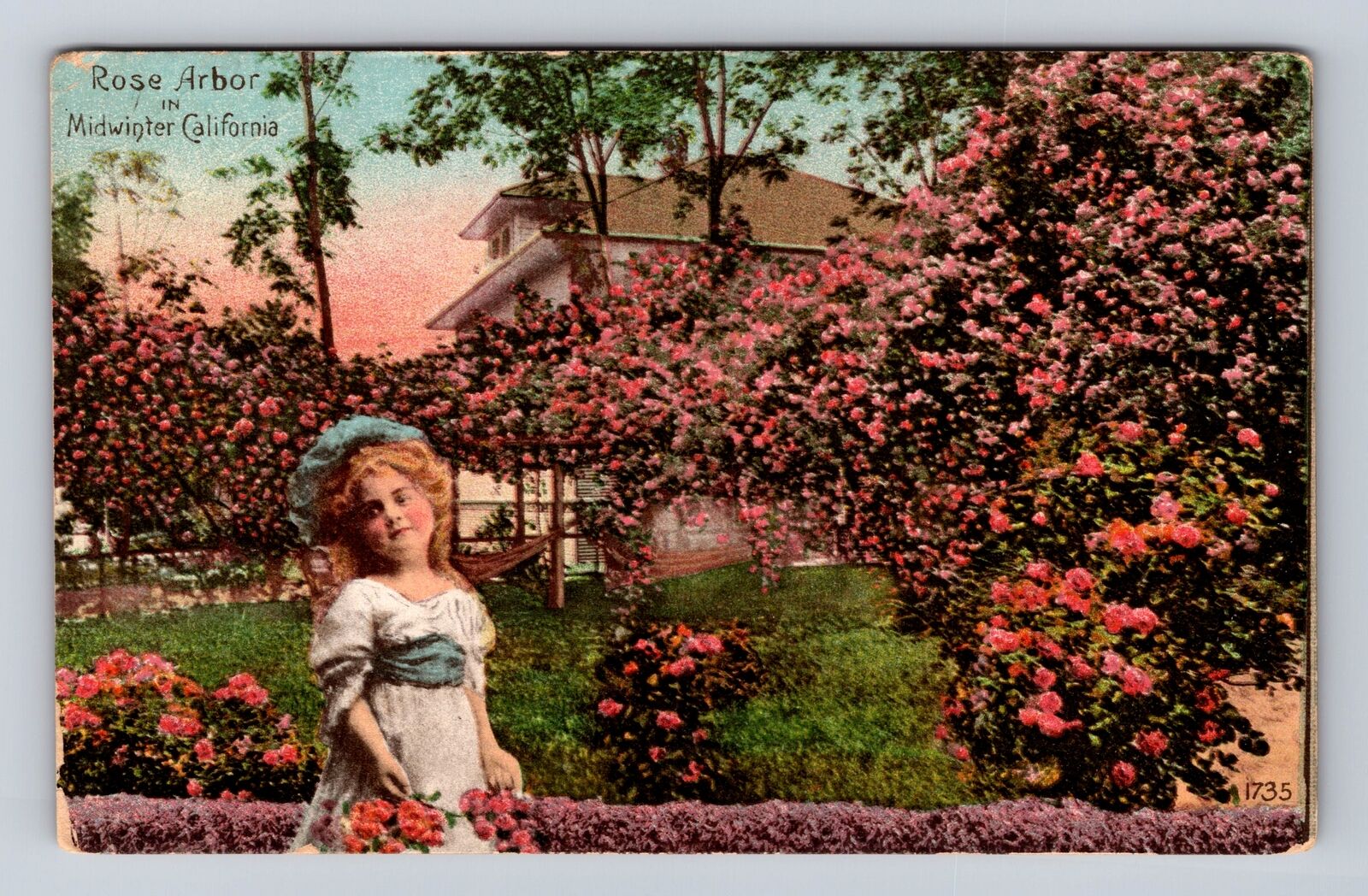 CA-California, Rose Arbor in Midwinter California, Antique Vintage Postcard