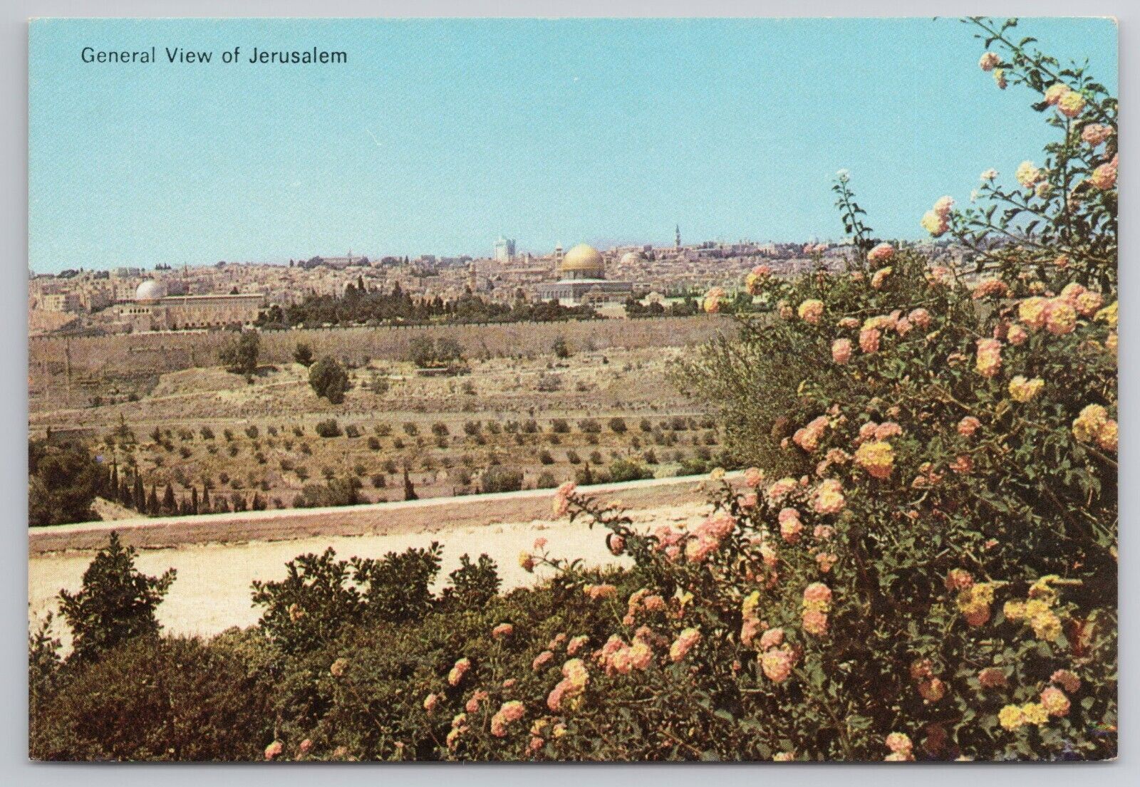 Postcard General View Of Jerusalem Israel