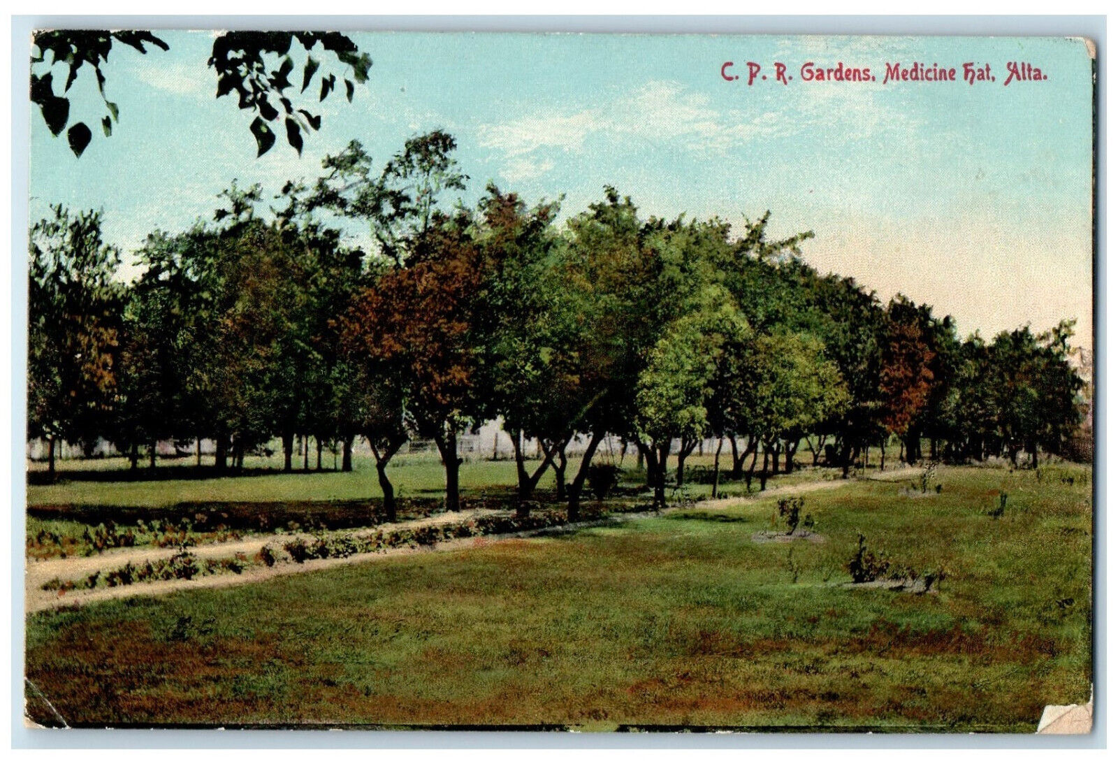 c1910 Canadian Pacific Railway Gardens Medicine Hat Alberta Canada Postcard