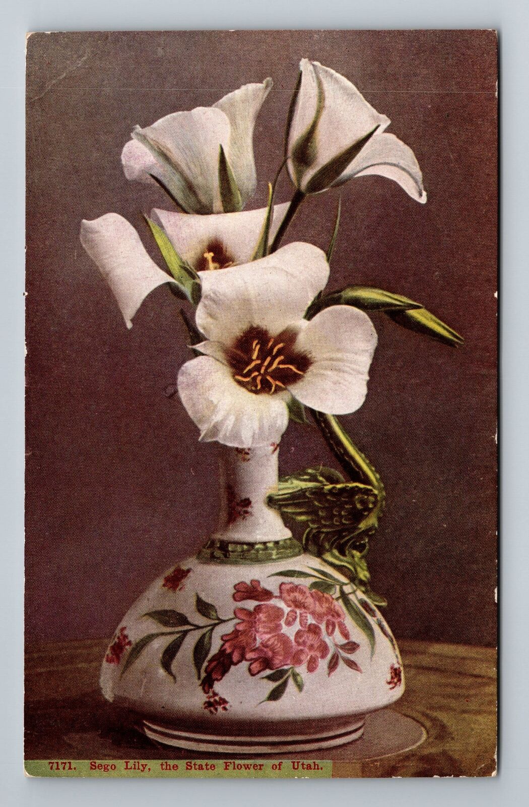 UT-Utah, Sego Lily, Scenic, State Flower, Vintage Postcard