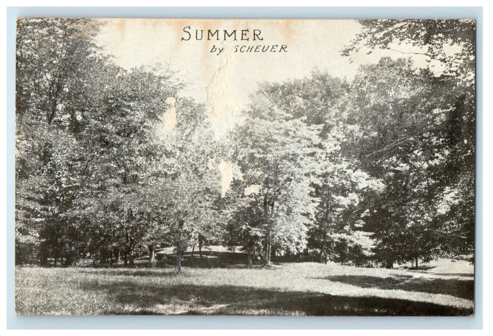1909 Scene of Nature, Summer By Schever Antique Posted Postcard