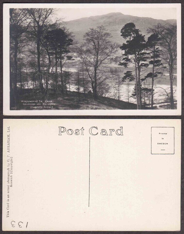 Old British Real Photo Postcard - Grasmere - Fir Grove - RPPC