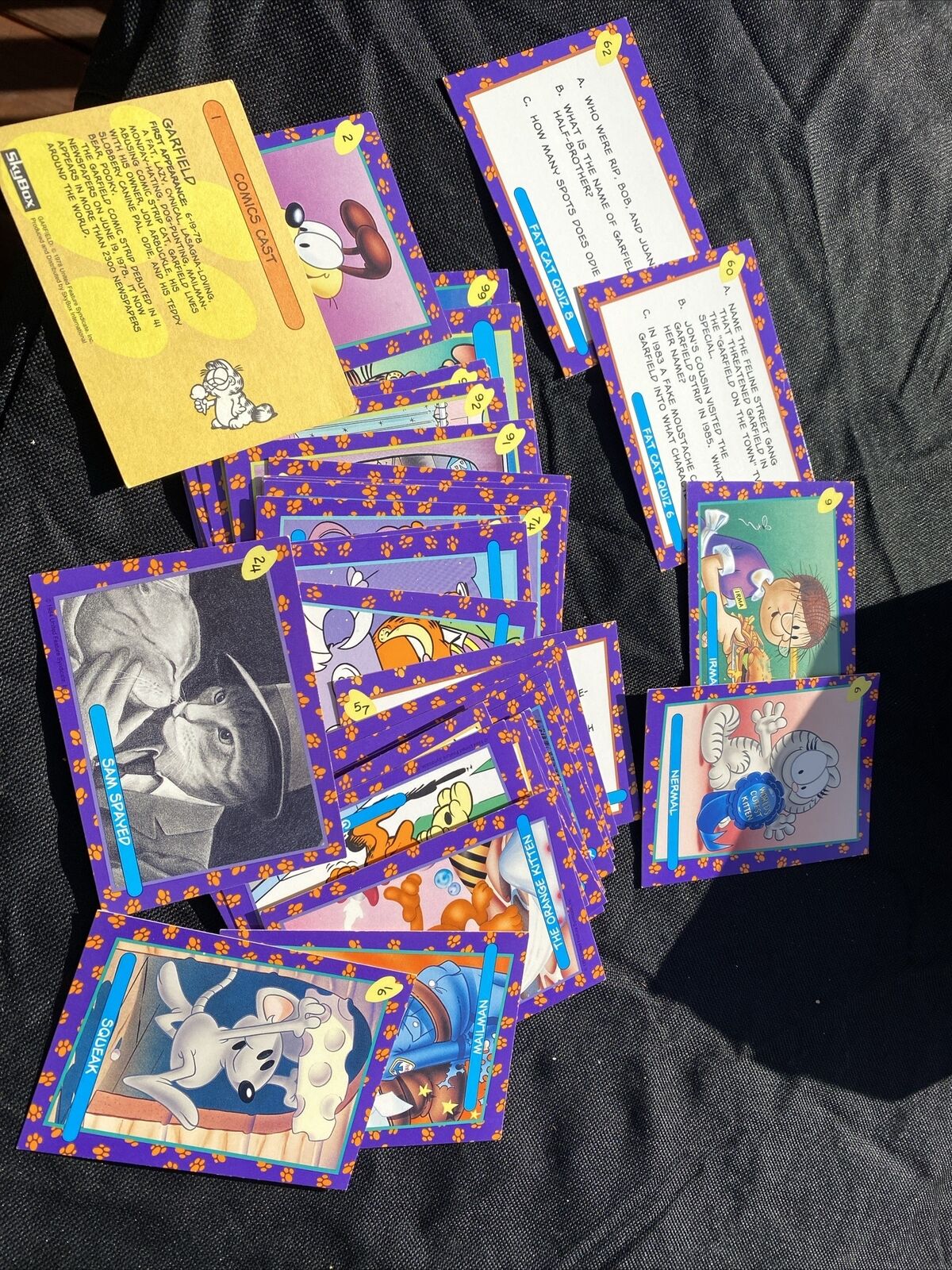 Garfield Premier Edition Trading Card Set Cards Skybox Nermal Sam Spayed Sqeak