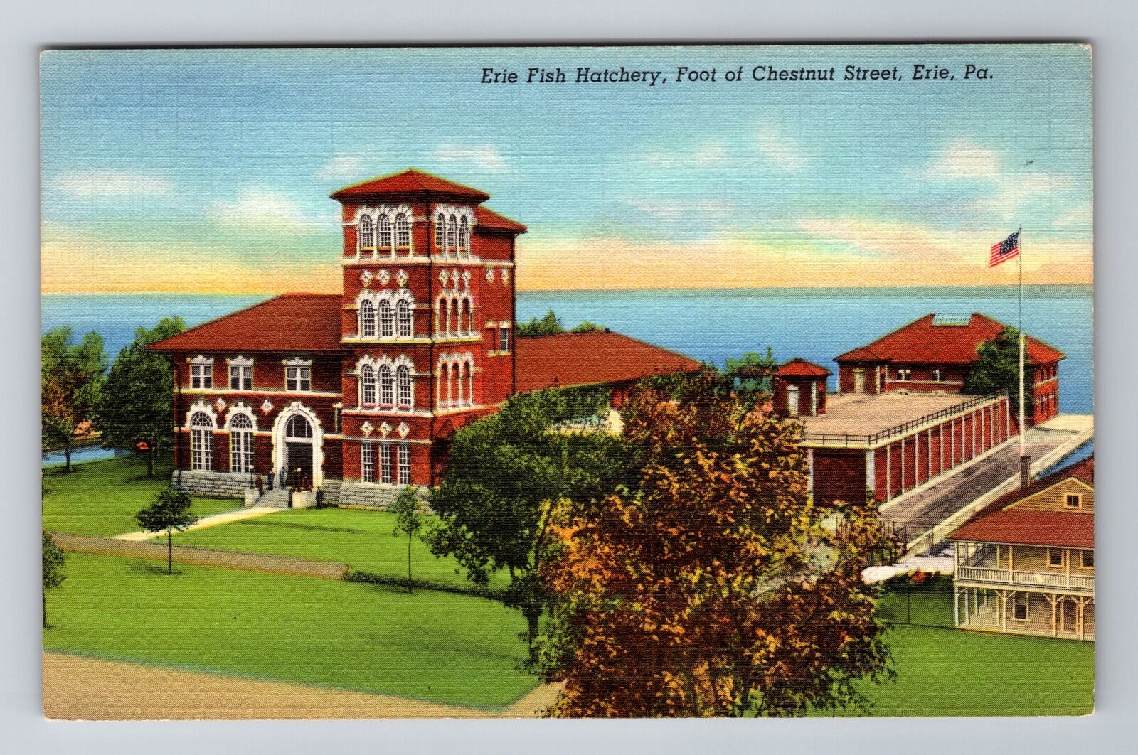 Erie PA-Pennsylvania, Erie Fish Hatchery, Antique Vintage Souvenir Postcard