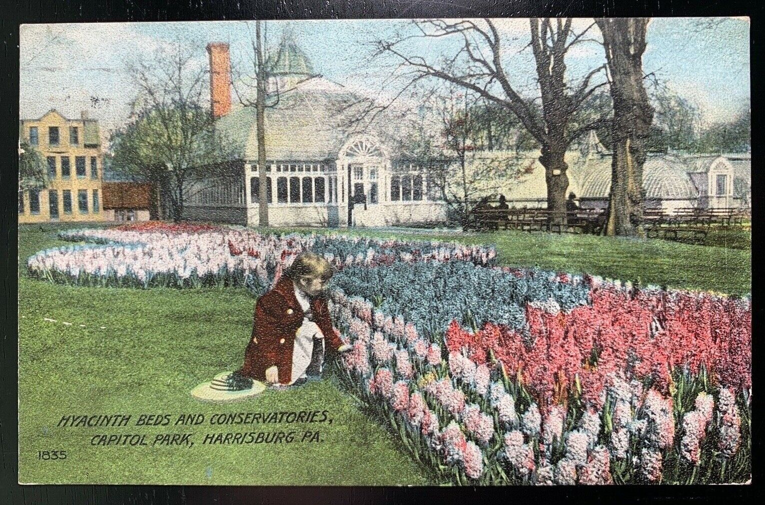 Postcard Harrisburg PA - Young Girl Hyacinth Flowers Conservatory Capital Park