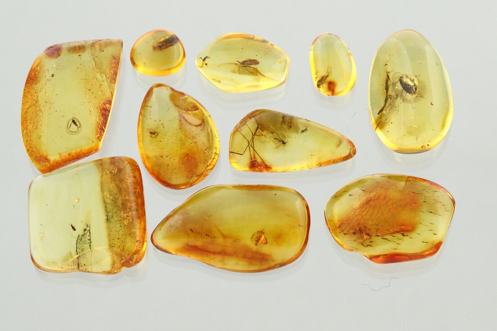 LOT of 10 Fossil BEETLES Inclusions Genuine BALTIC AMBER Stones 5.7g 240201-7