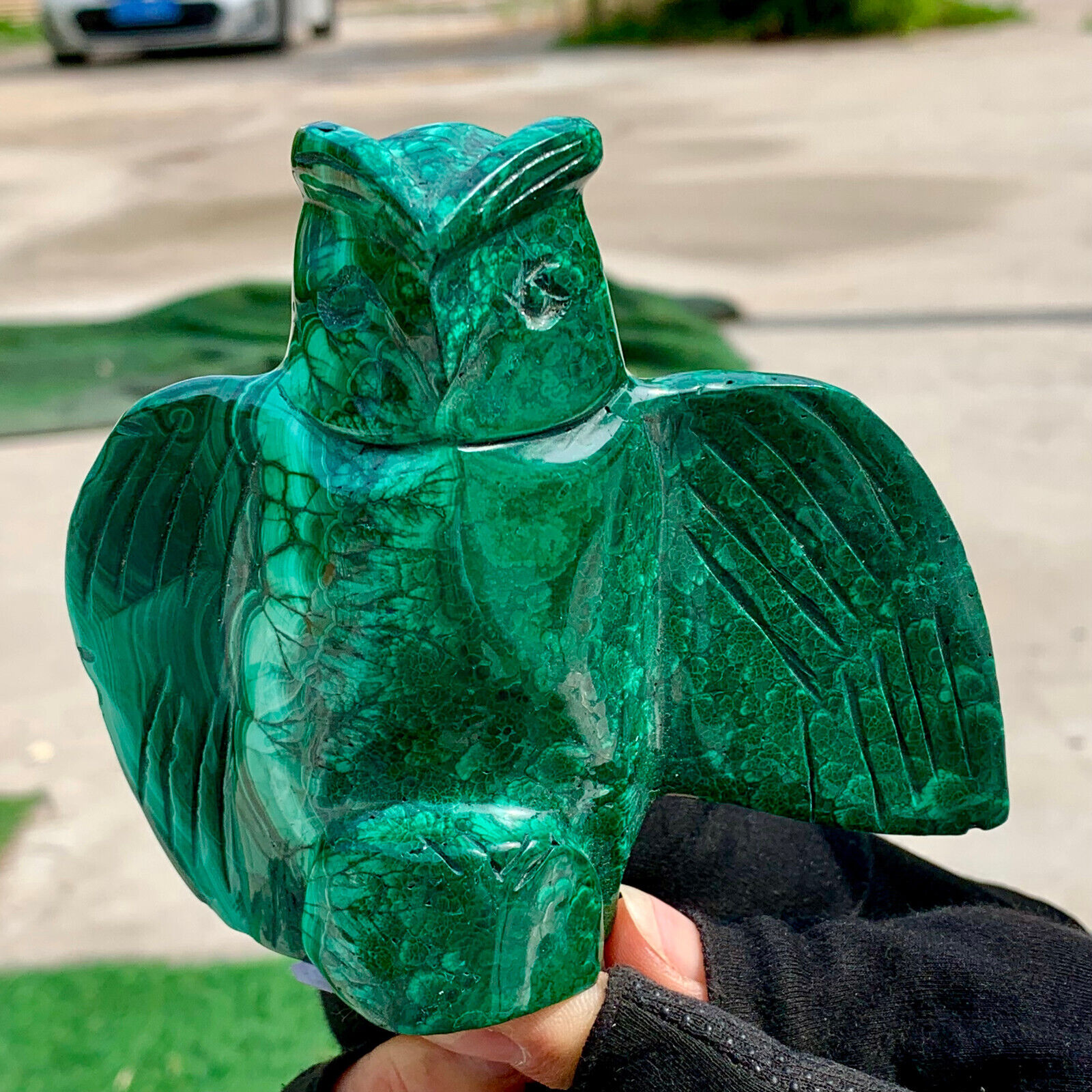 1.17LB Natural glossy Malachite Crystal Handcarved owl mineral sample