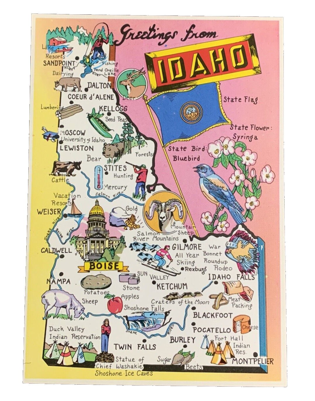 Greetings From Idaho State Map the Gem State Postcard Unposted