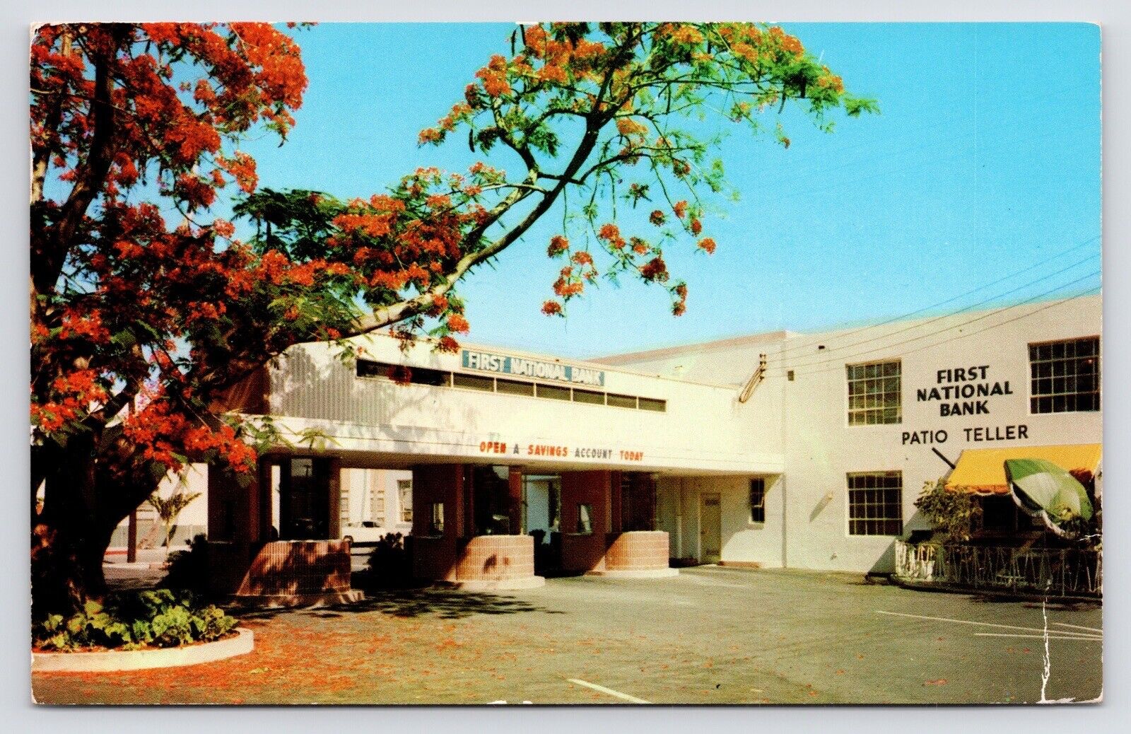 c1950s First National Bank Drive-in~Tellers~Fort Lauderdale FL VTG Postcard