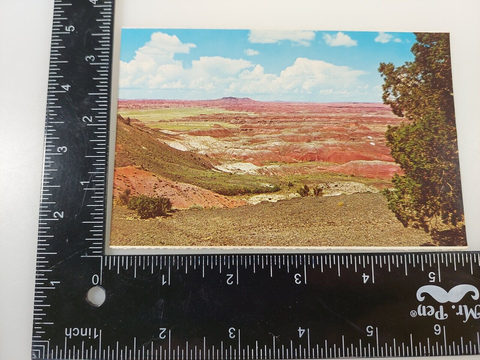 Colorful Painted Desert Arizona AZ Postcard VTG UNP Petley Vintage Unused