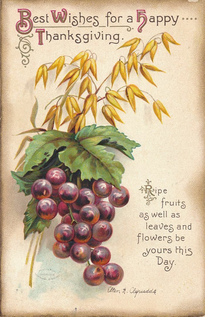 THANKSGIVING - Clapsaddle Signed Ripe Fruits As Well As Leaves and Flowers -1912