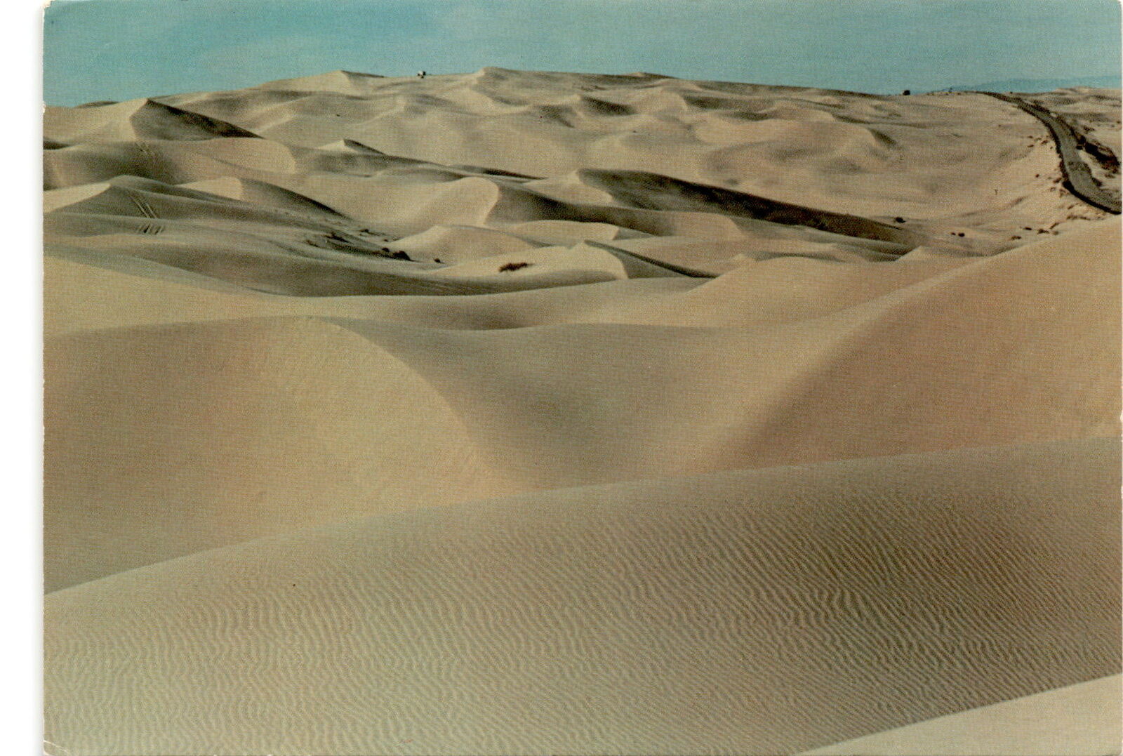 Algodones Dunes, California, Arizona, Niland, Mexican border, Yuma Postcard