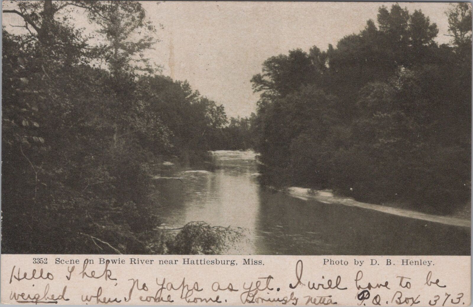 Scene on Bowie River near Hattiesburg Mississippi 1907 Postcard