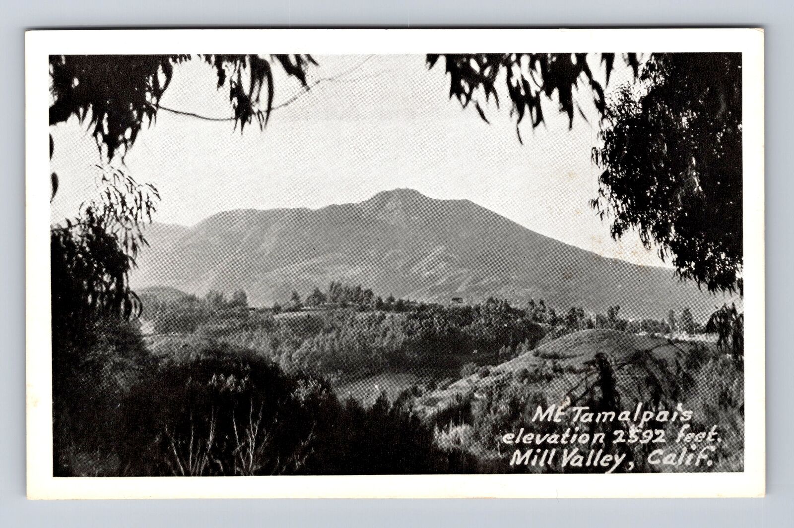 Mill Valley CA- California, Mount Tamalpats, Antique, Vintage Souvenir Postcard