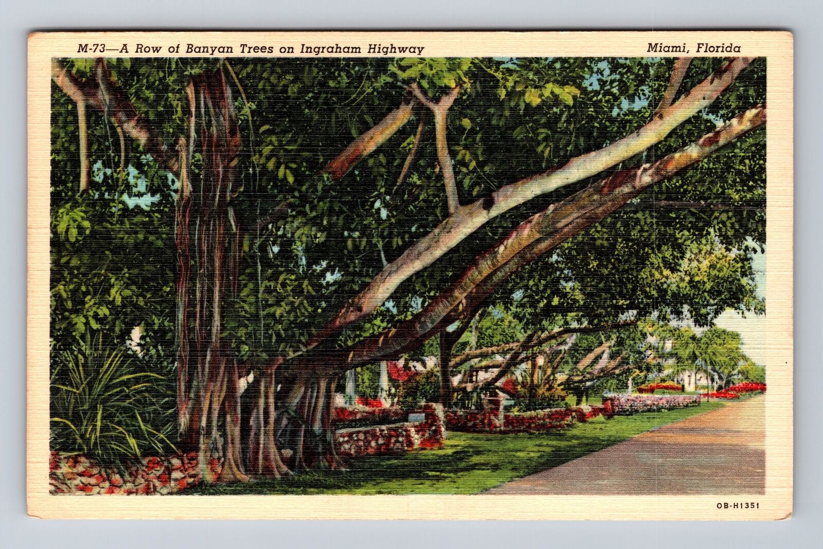 Miami FL-Florida, Banyan Trees On Ingraham Highway, Antique, Vintage Postcard