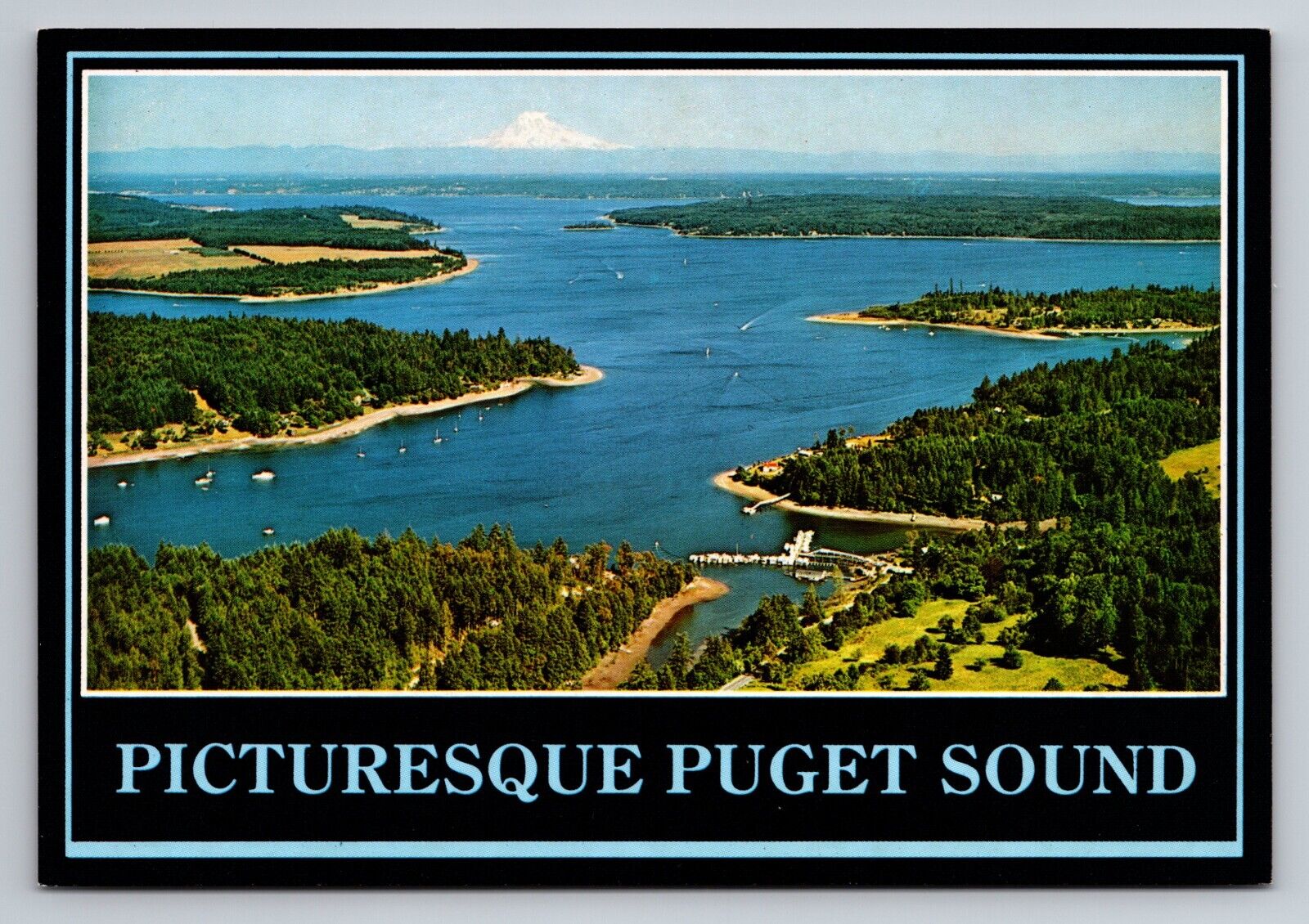 Picturesque Puget Sound Washington Vintage Unposted Postcard