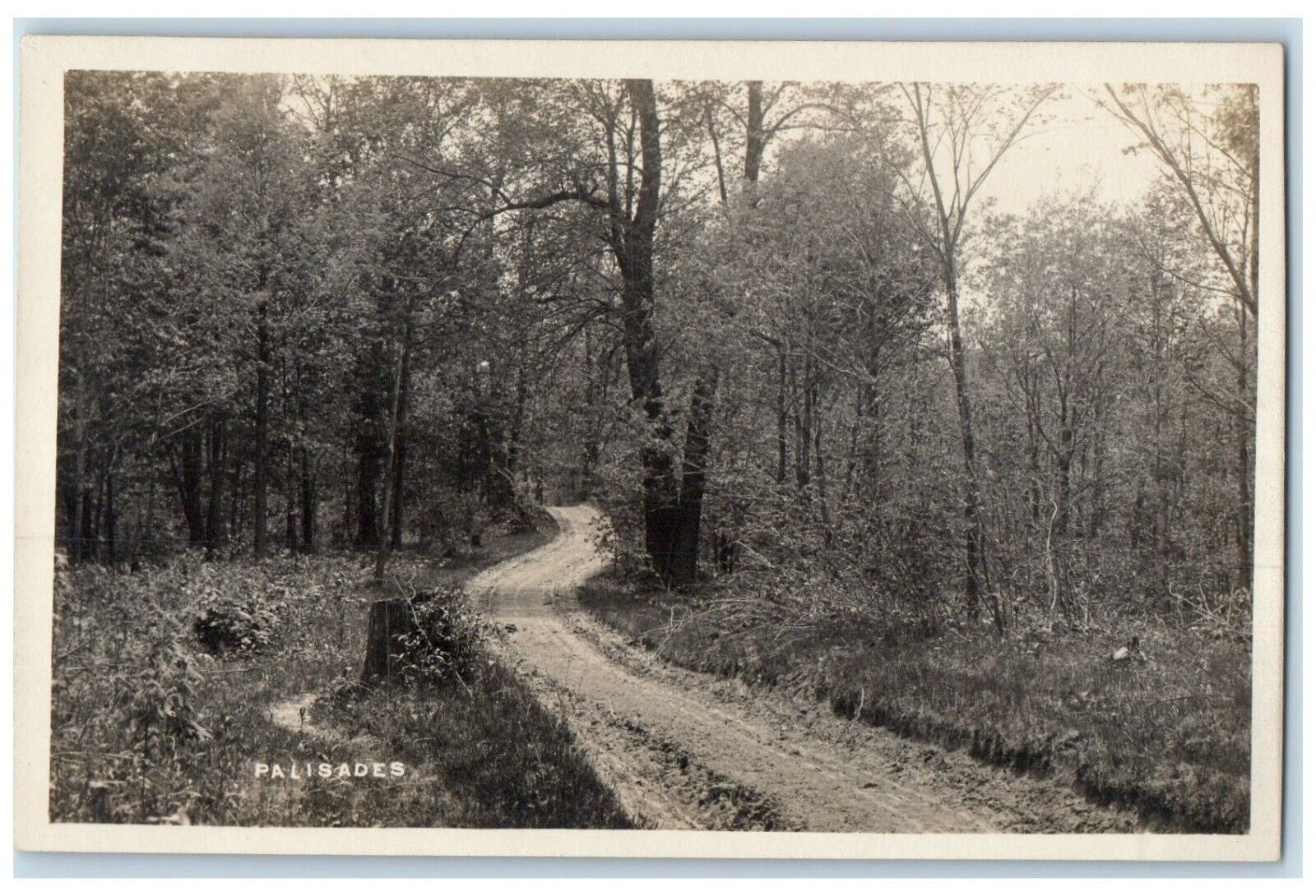 c1910's Palisades Dirt Road Trees Scene Cedar Rapids Iowa IA RPPC Photo Postcard