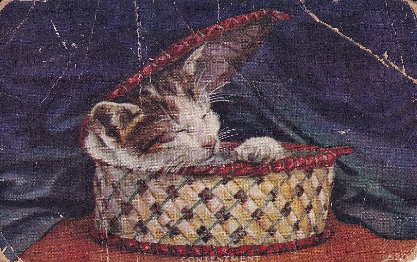 Cat Sleeping In Basket Animals Contentment Postcard Used Divided Back
