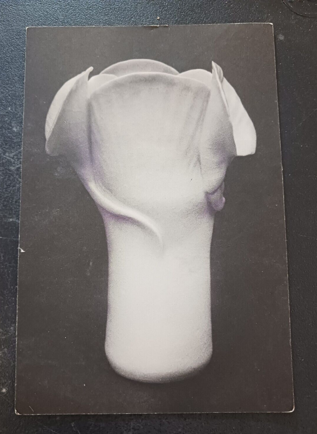 vtg postcard Gail Corcoran Ceramic Sculptor artist promo ephemera art unposted