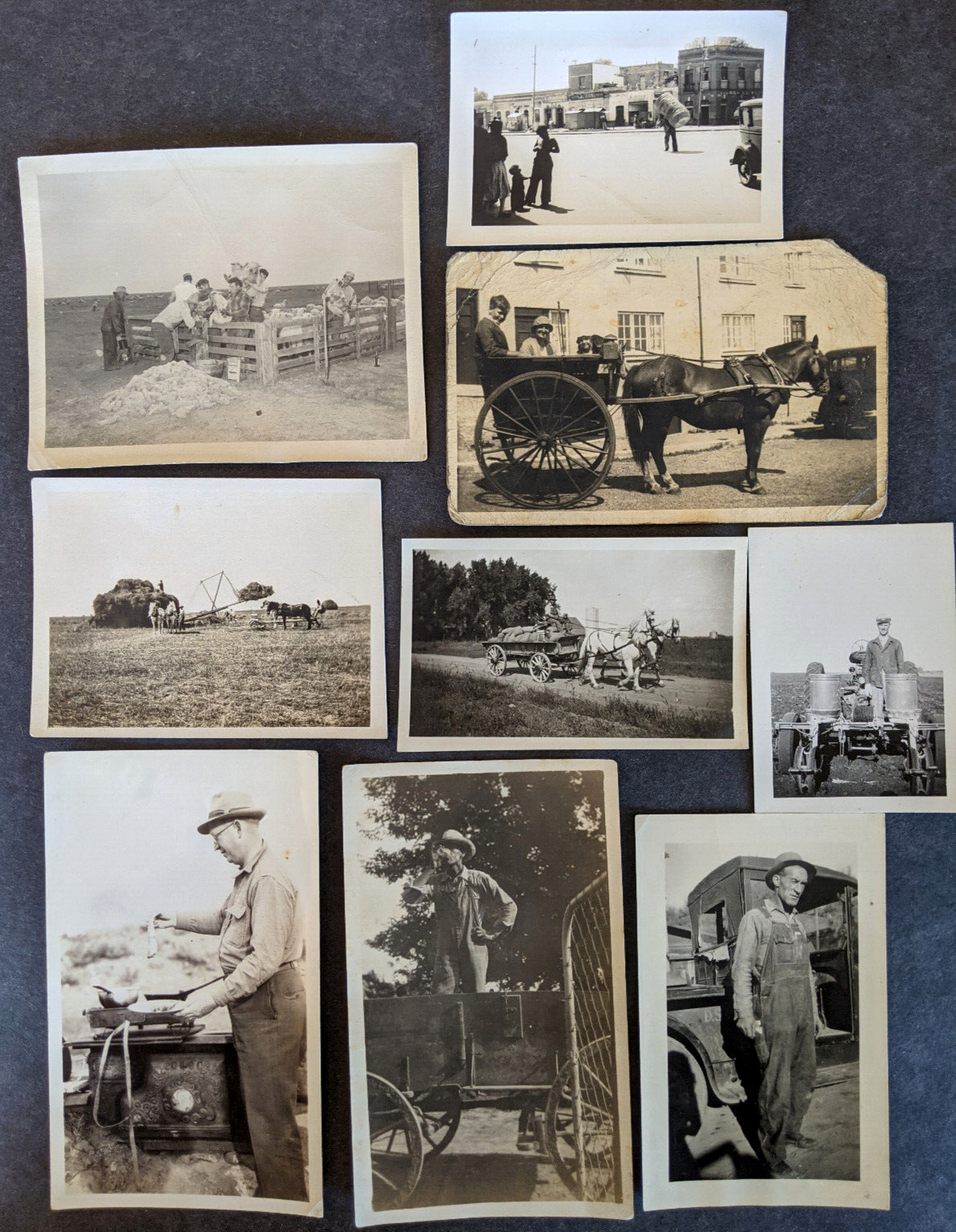 Vintage Antique Photo Lot On and Around The Farm Threshing, Shearing, Ranching