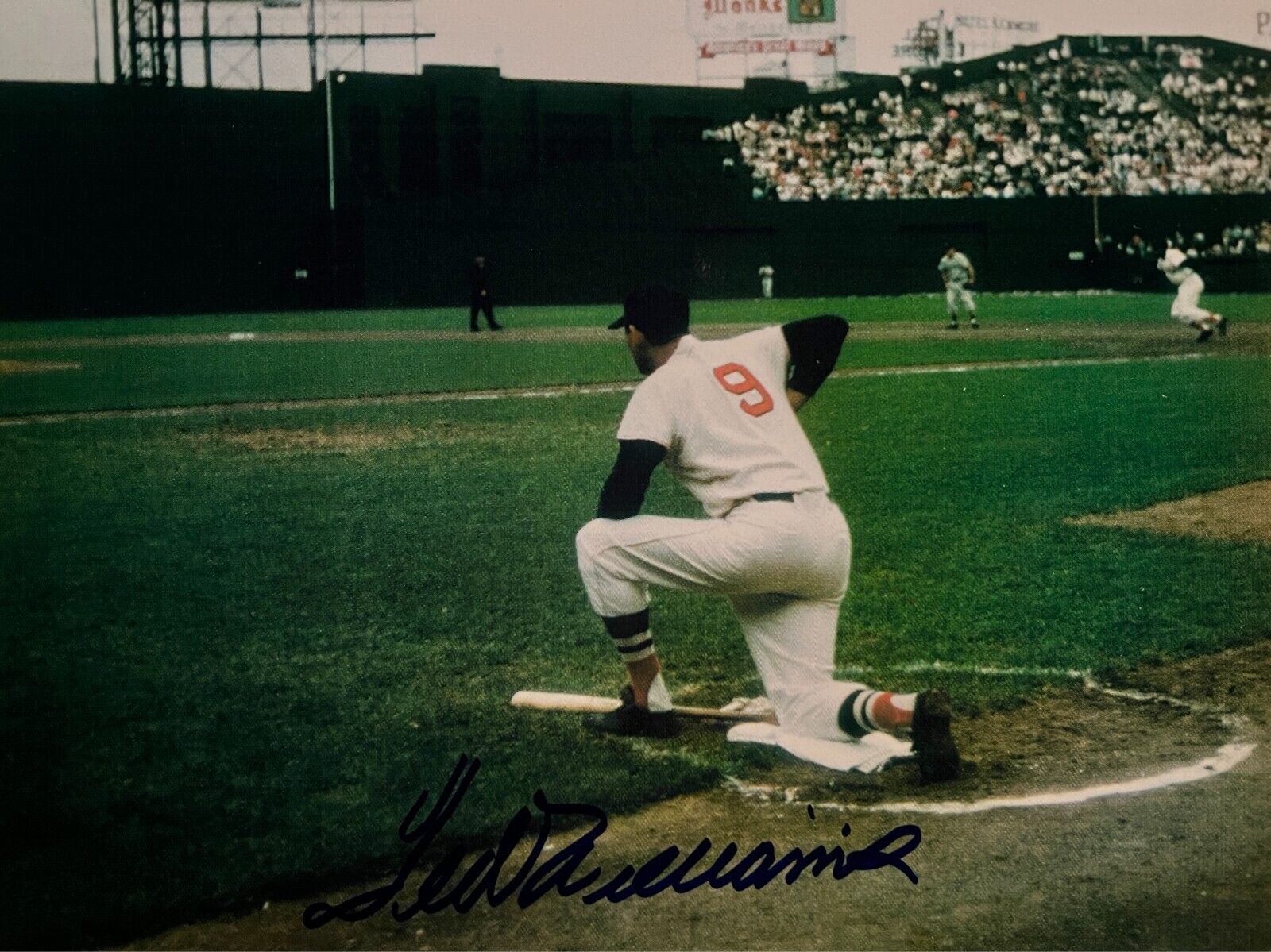 Boston Red Sox Ted Williams signed photo. 8x10 inches