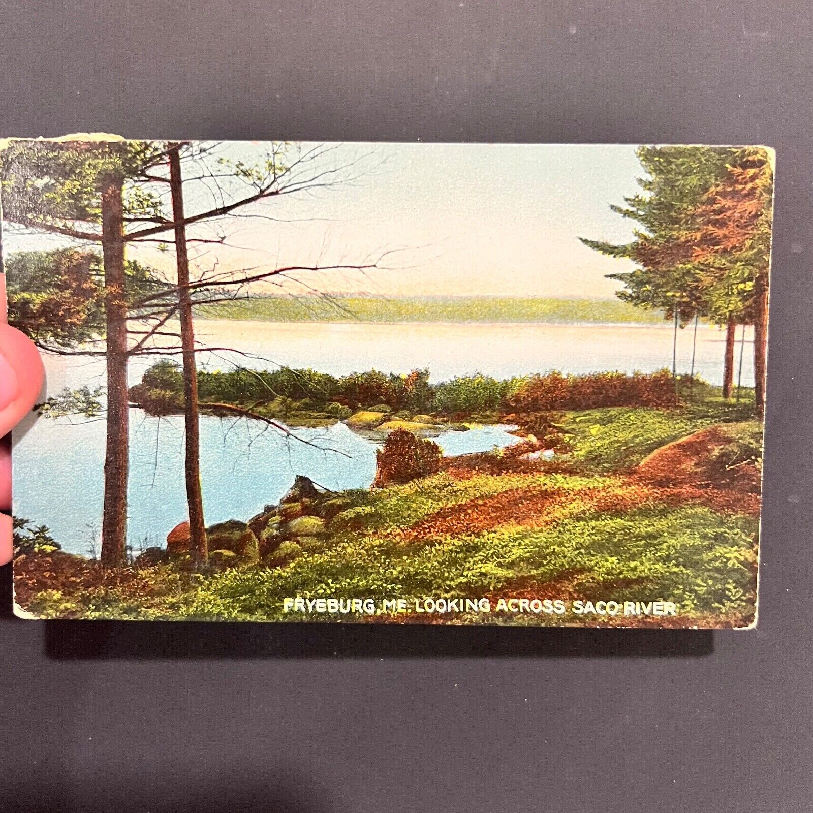 Fryeburg Maine Saco River 1931 Vintage Postcard