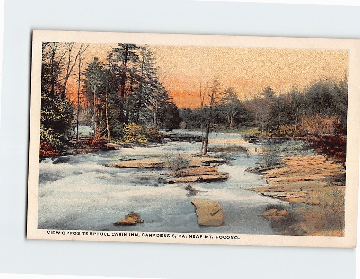 Postcard View Opposite Spruce Cabin Inn Canadensis Pennsylvania USA