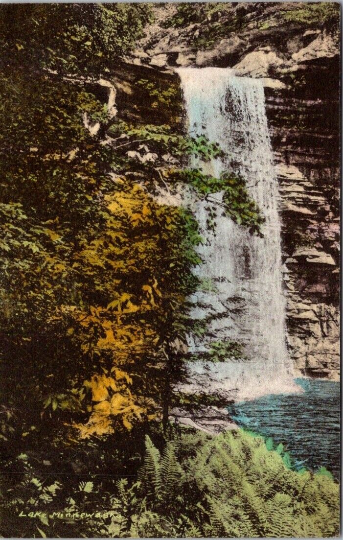 1953 Hand Color Albertype Lake Minnewaska Falls New York Vintage Postcard