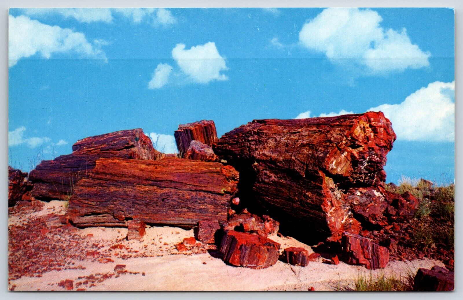 Postcard Petrified Logs, Petrified Forest, Arizona Unposted
