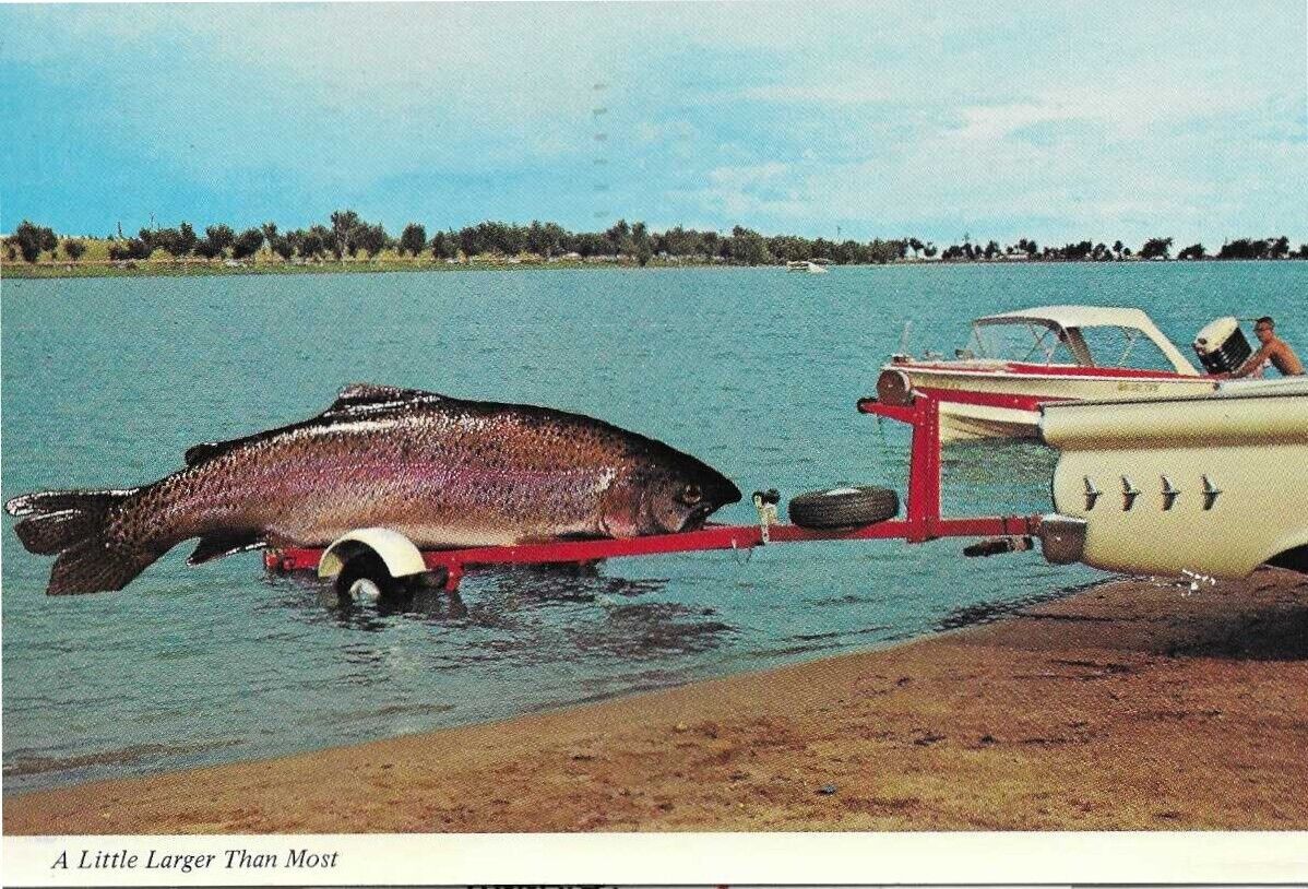 Postcard-Oversized Fish on a trailor- Casper Wyoming