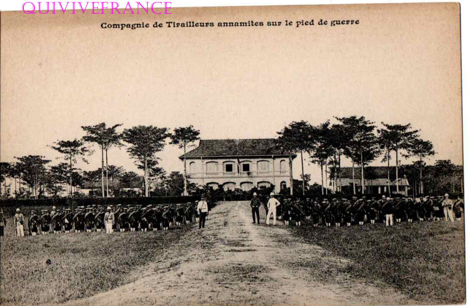 CP3004 - POSTCARD COMPANY OF ANNAMITE RIFLEMEN ON WAR FOOT