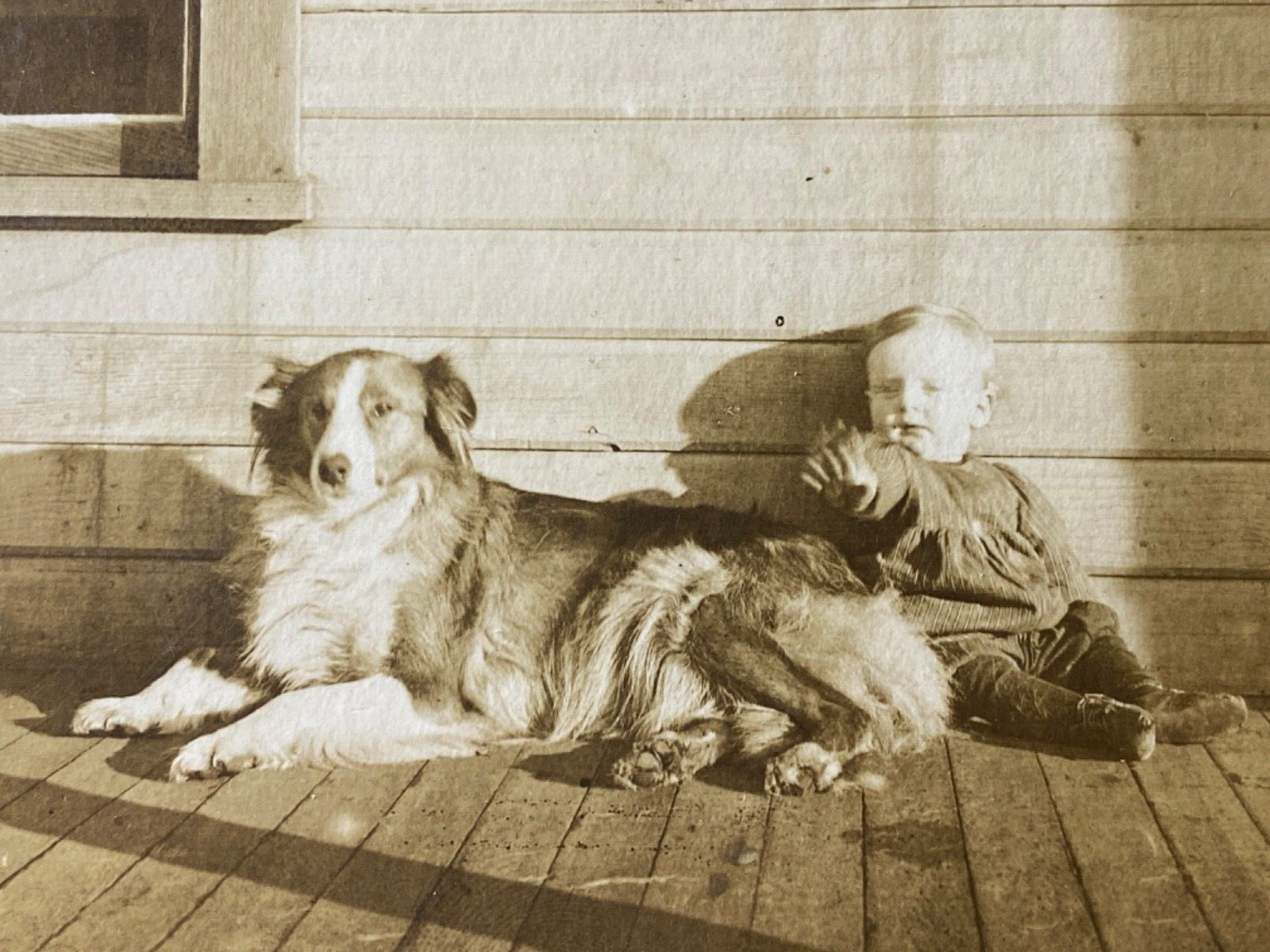 1910s RPPC - BABY BOY WITH HIS COLLIE DOG vintage plane real photograph postcard