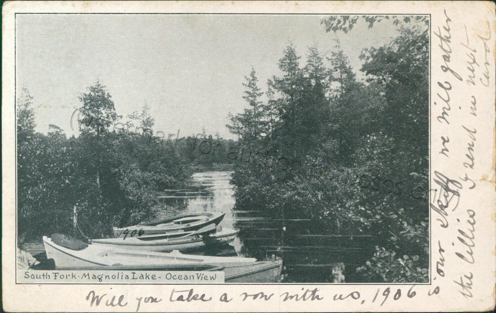 Oceanview, New Jersey - South Fork Magnolia Lake 1907 - Cape May Co, NJ Postcard
