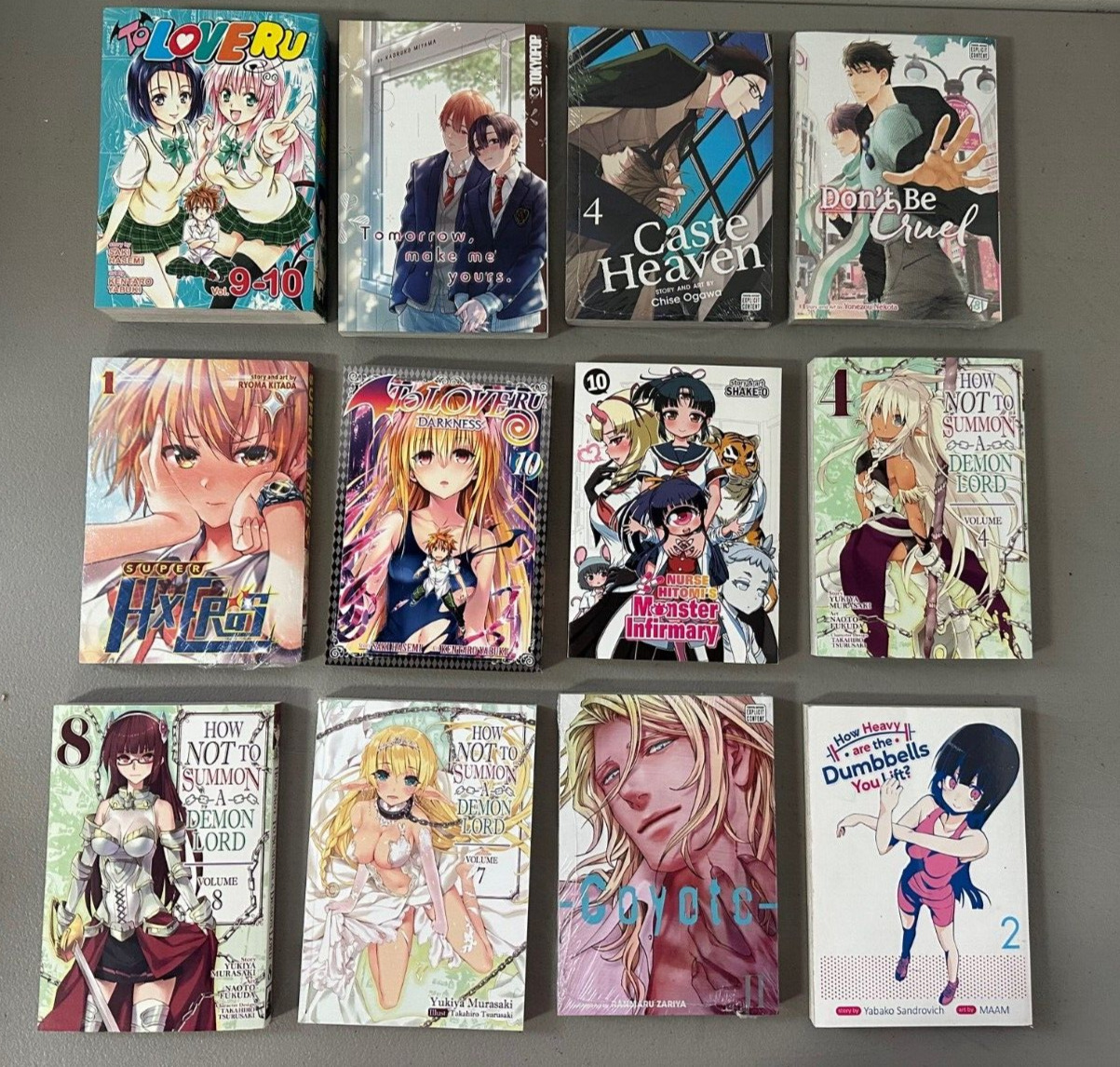 LOT OF 12 EROMANGA BOOKS Manga Anime Mixed lot NEW