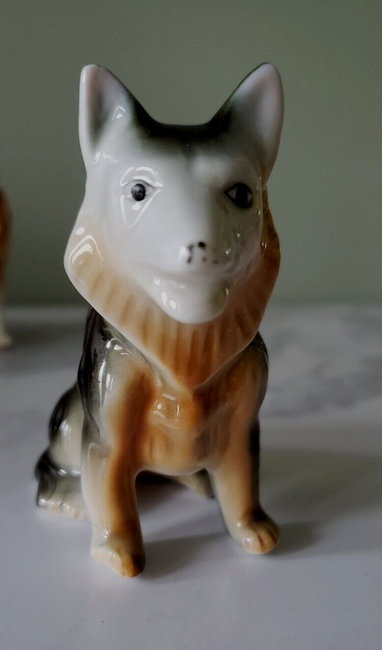 Vintage Bone China Miniature Collie Dog Beautiful Mane