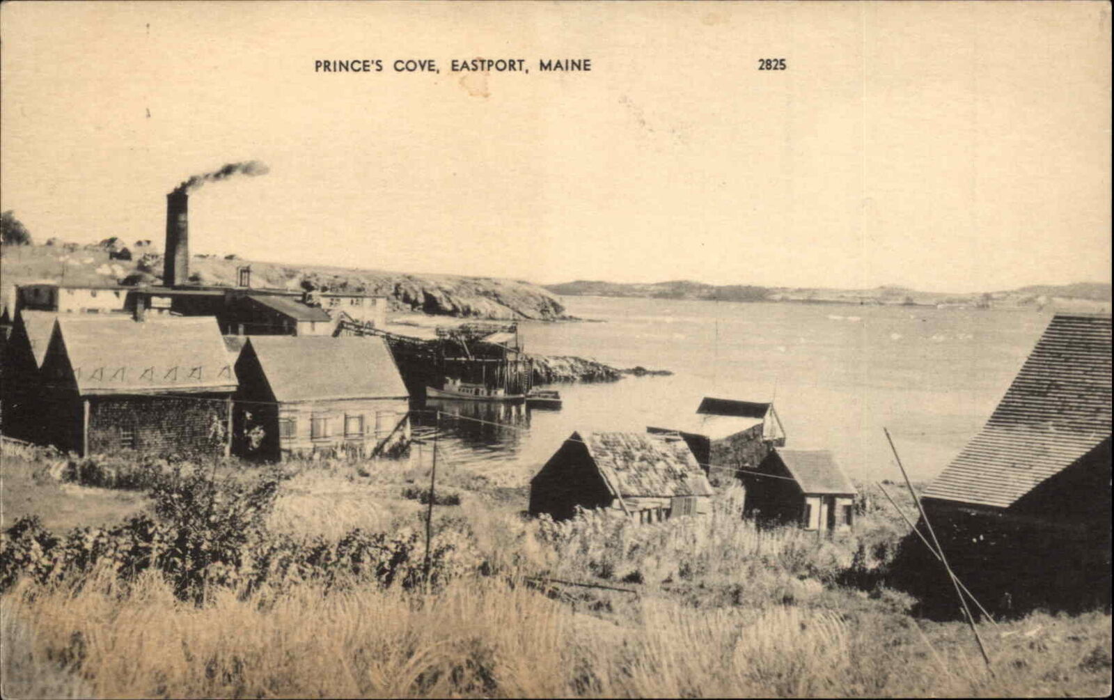Eastport Maine ME Prince\'s Cove Vintage Postcard