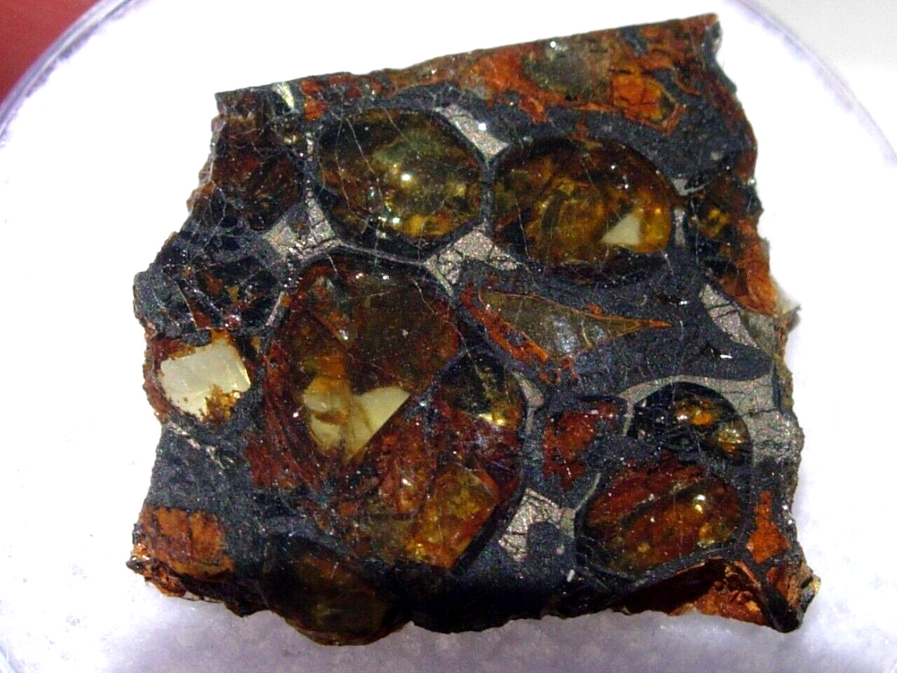 1.65 grams 15x14x3mm Jepara Meteorite ( Pallasite PMG) slice fragment with a COA