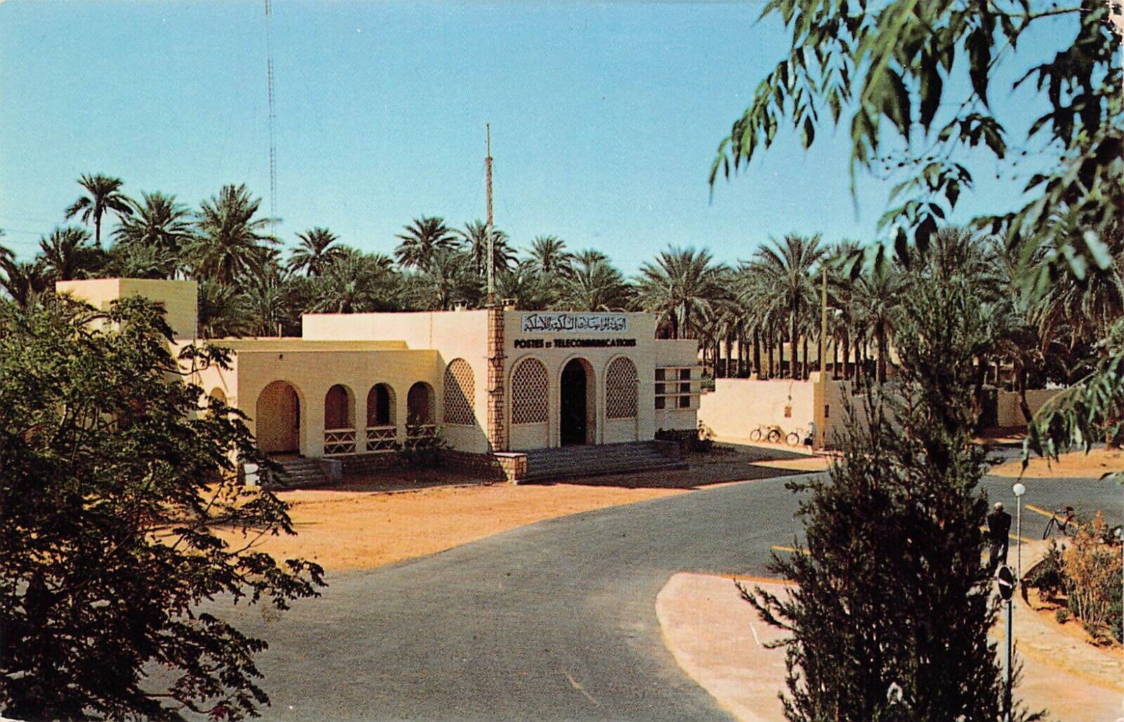 El Golea Menia Algeria Downtown Post Office 1950s Vtg Postcard C42