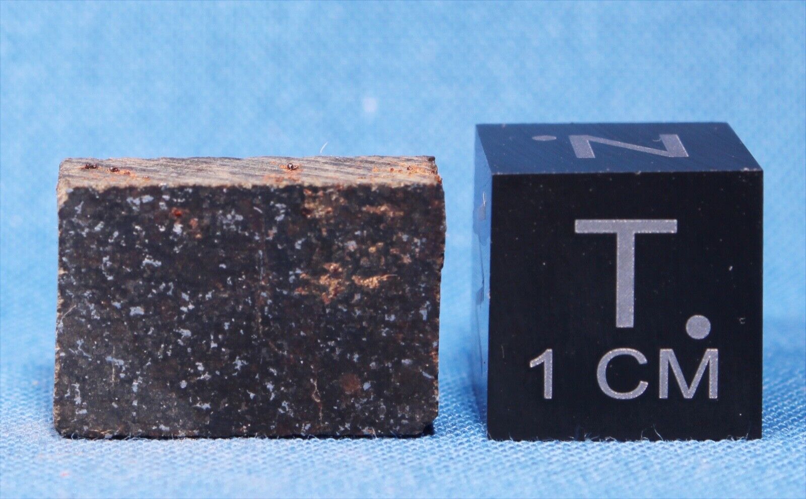 2.65 gram Gaylord Meteorite Slice - Chondrite H4 - Found 1983 in Kansas
