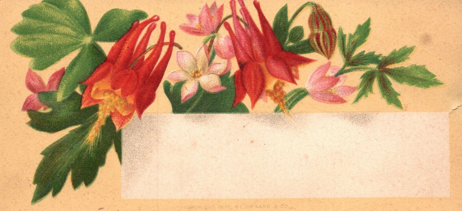 1880s-90s Blooming Red Flowers Greeting Trade Card
