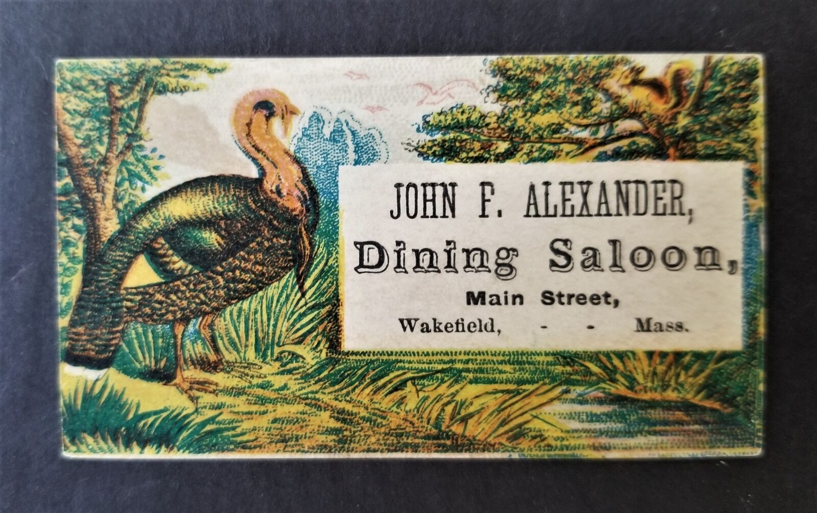 1880 antique JOHN F ALEXANDER wakefield ma DINING SALOON victorian trade card 