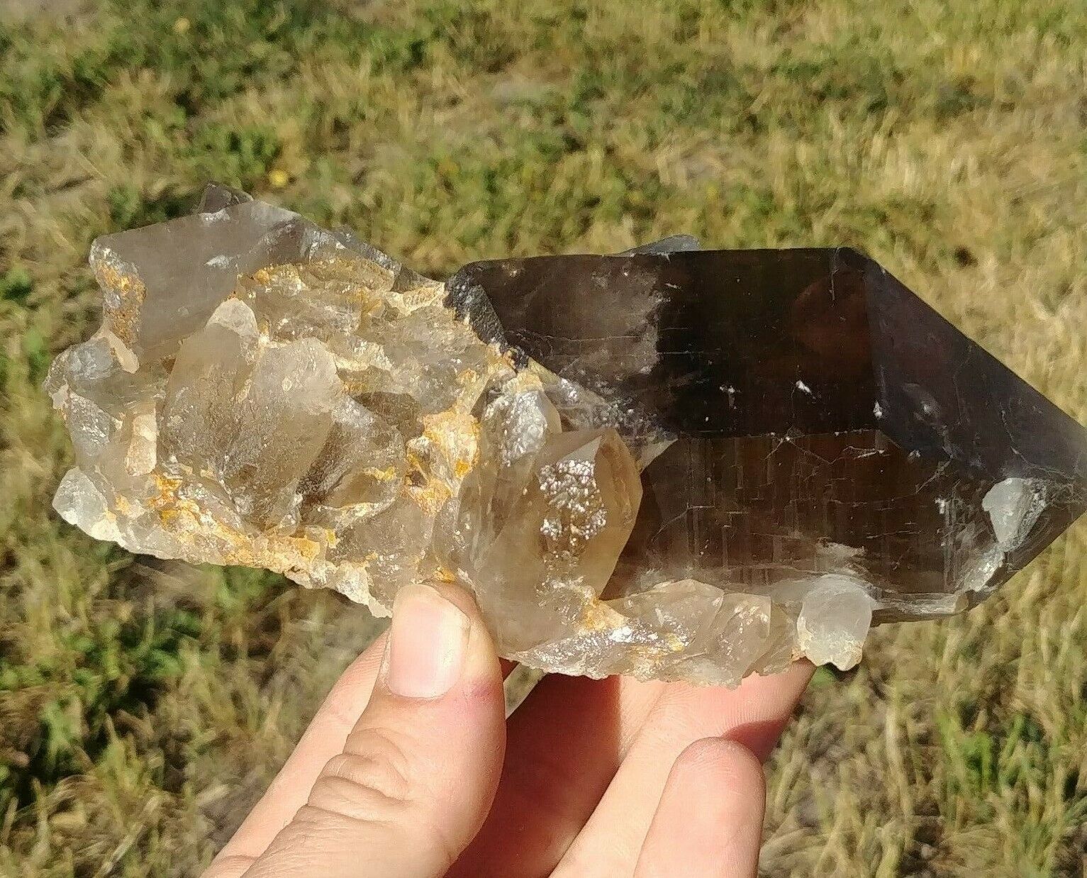 Large Smoky Quartz crystal, Georgetown, El Dorado County, Colorado