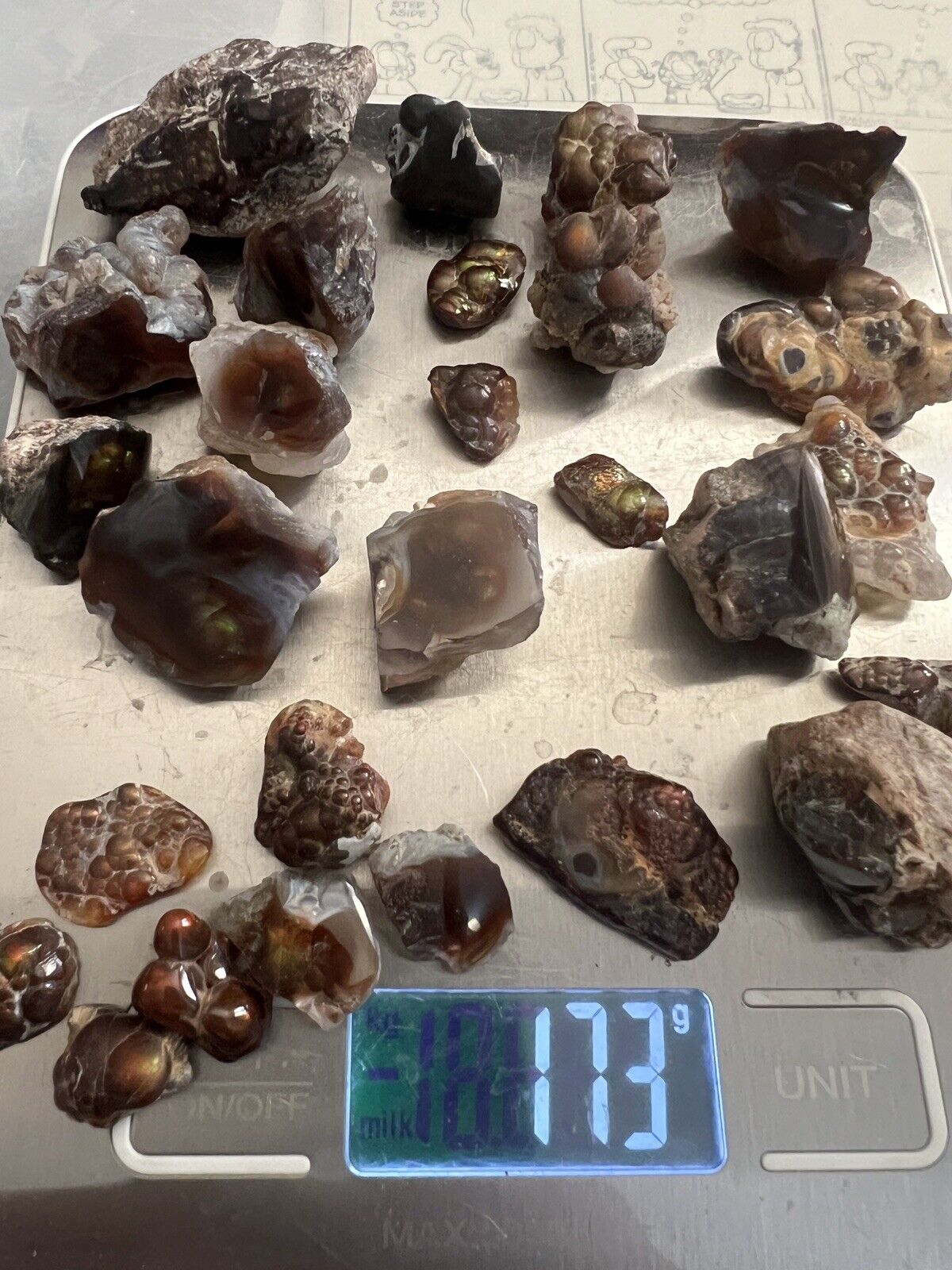 Mexican Fire Agate windows 170 grams with schiller nice MM