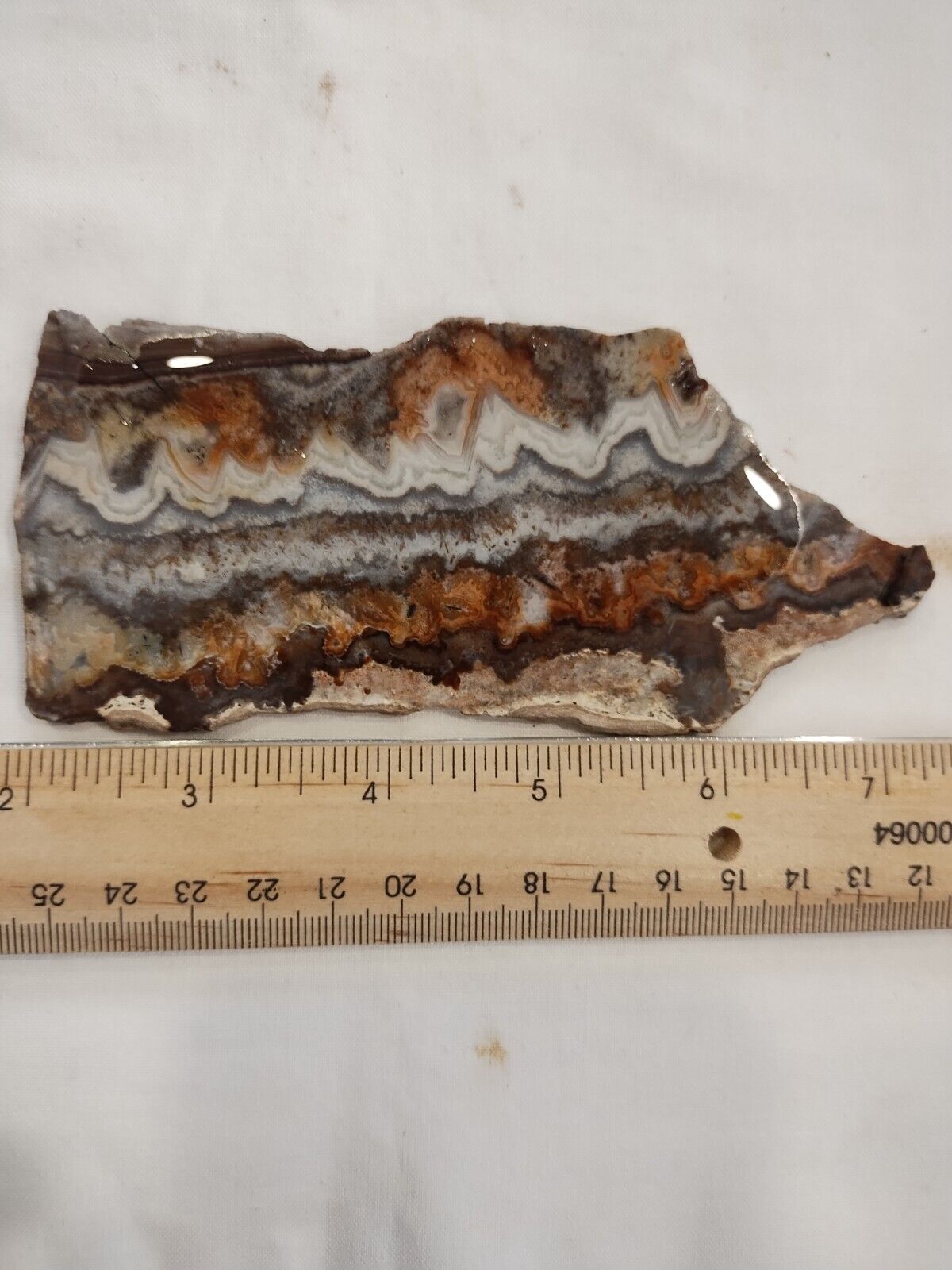 Crazy Lace Agate Mexico, beautiful Slab, Old stock  88 Grams, 3.10 Ounces