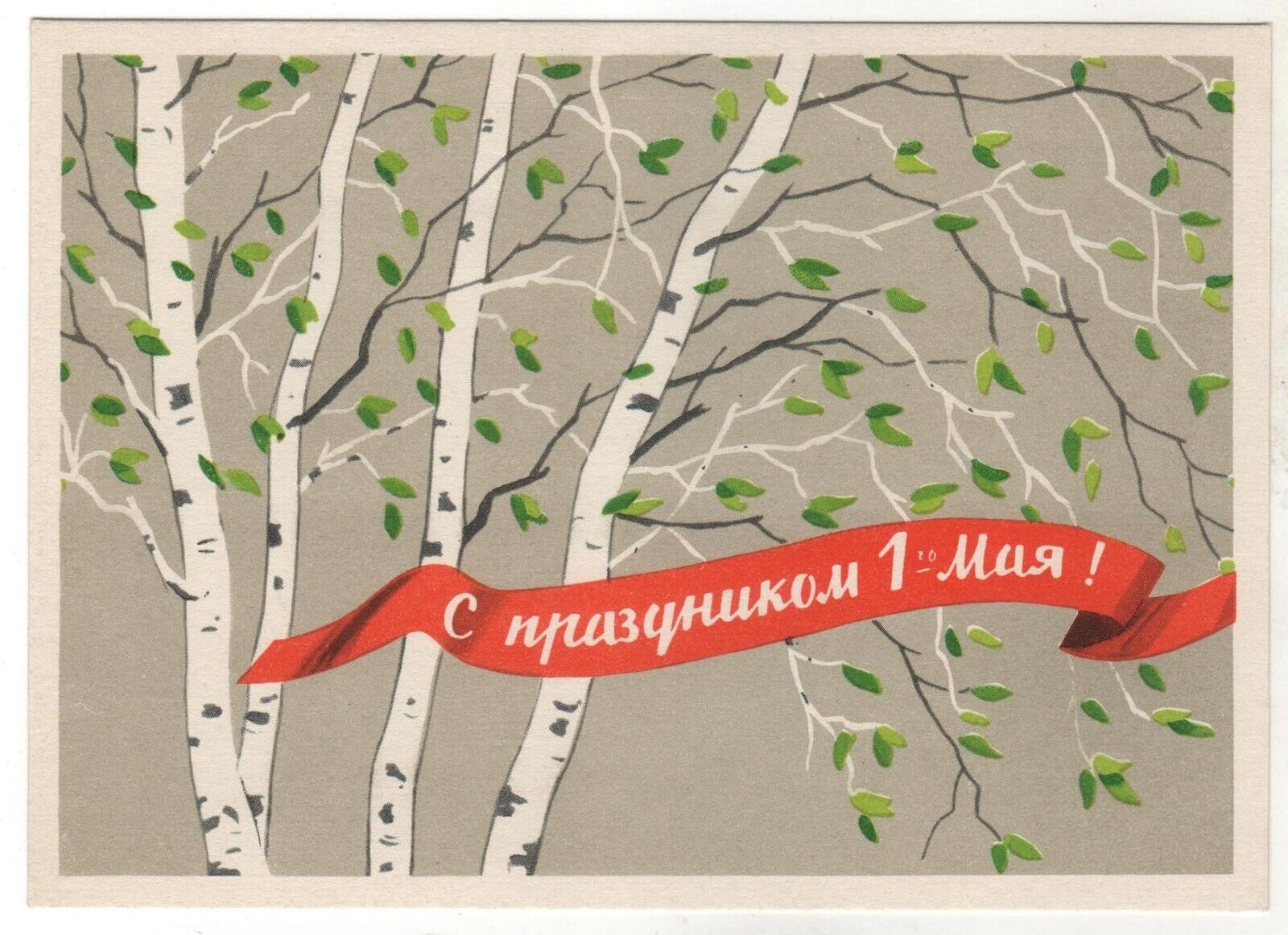 1962 Happy MAY 1st Greeting Birch Spring ART Russian postcard OLD