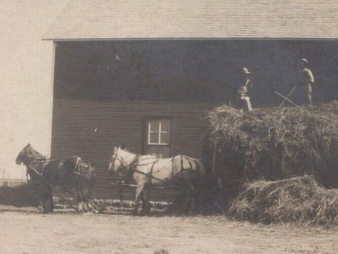 3R Photograph Farmers On Top Of Farm Farmers Hay Harvest Wagon Horses 1910-20\'s 